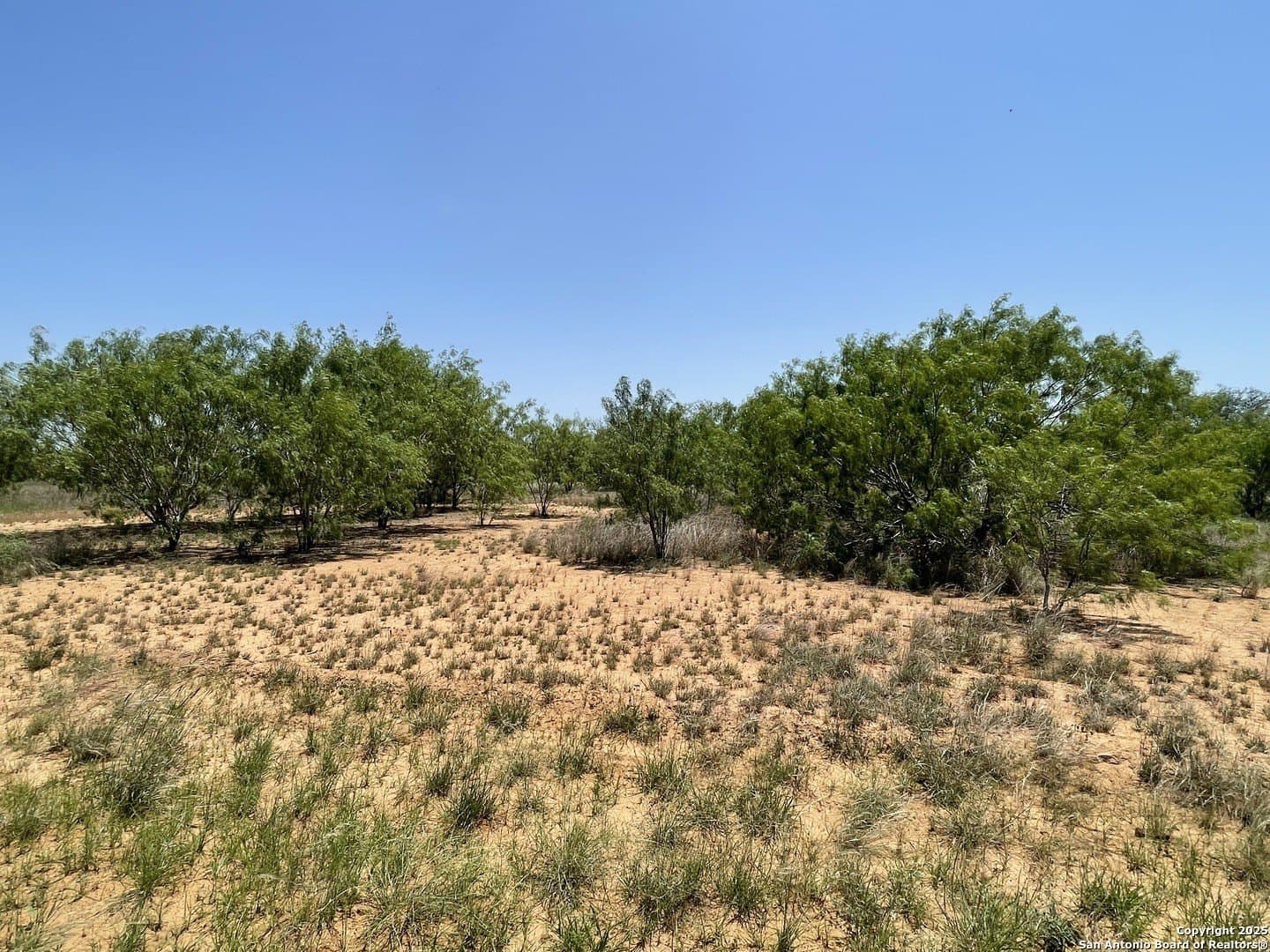 30.32 acres in Medina County - photo 3