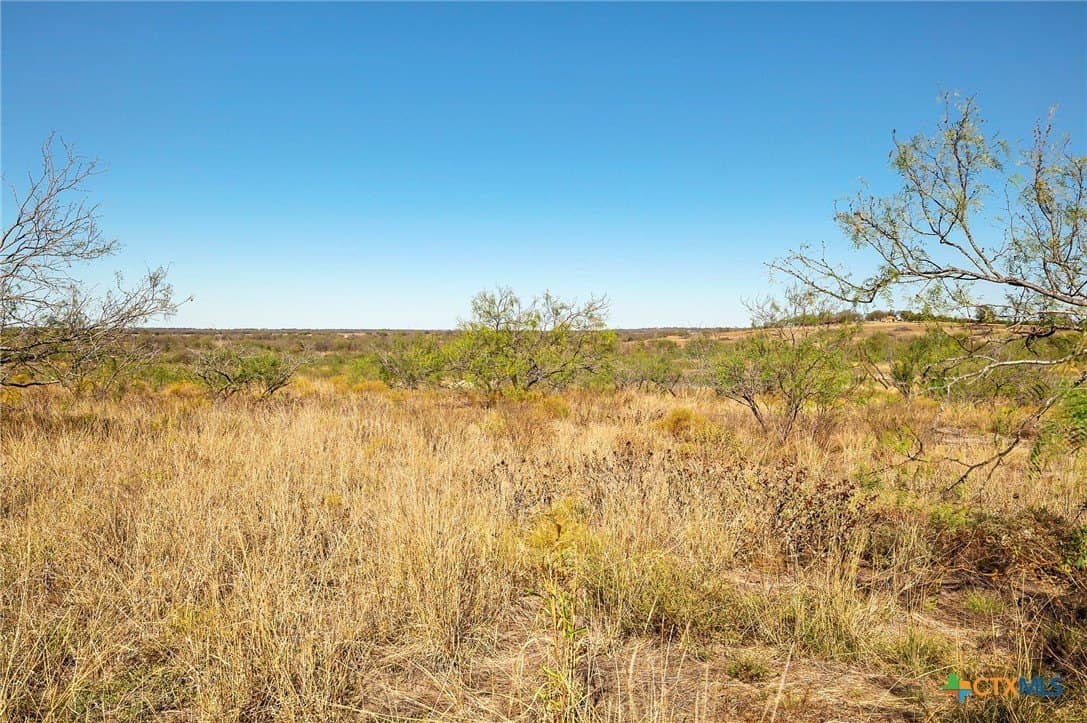 20 acres in Bell County - photo 7