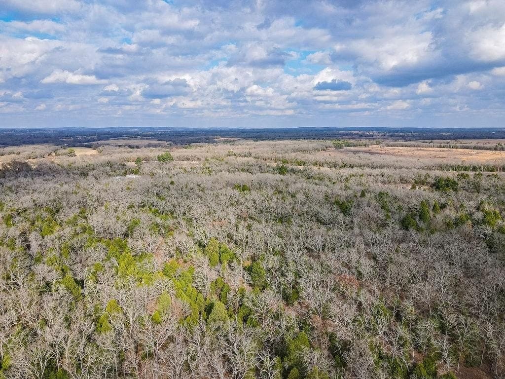 10 acres in Henderson County - photo 11