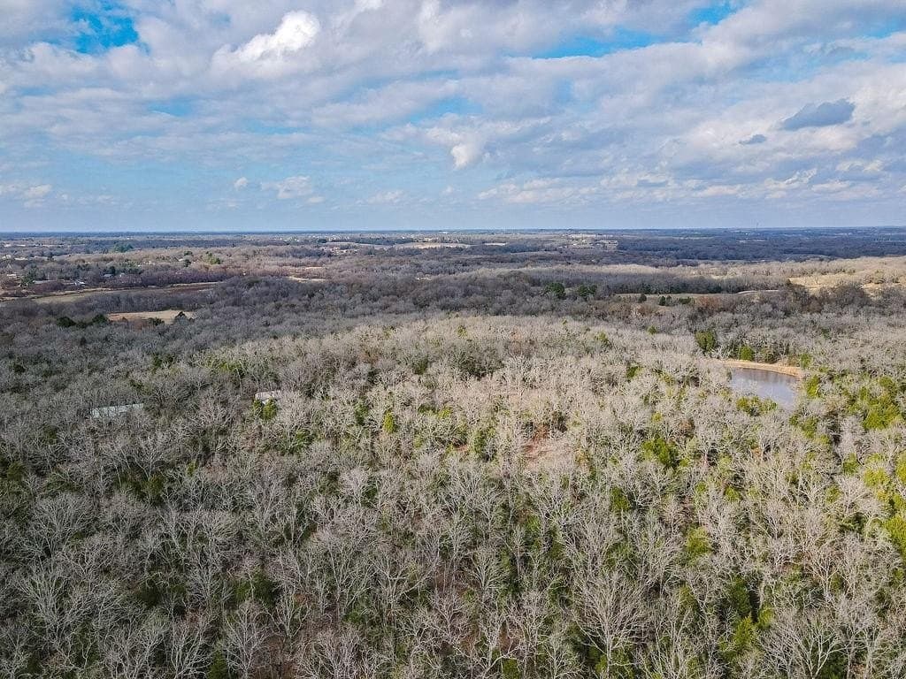 10 acres in Henderson County - photo 12