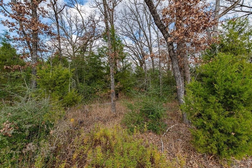 10 acres in Henderson County - photo 5