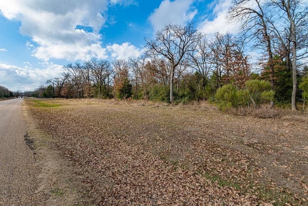 10 acres in Henderson County - photo 3