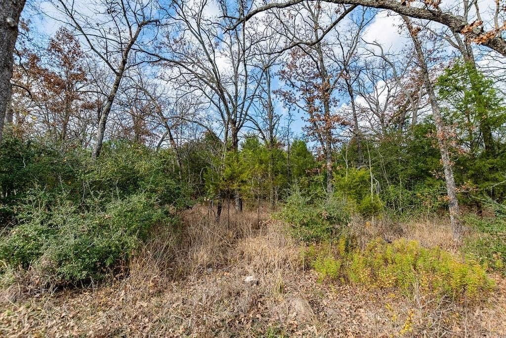 10 acres in Henderson County - photo 4