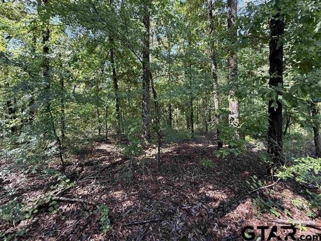 30 acres in Rusk County - photo 5