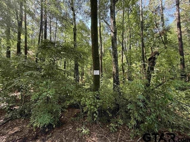 30 acres in Rusk County - photo 3