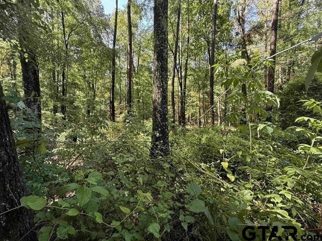 30 acres in Rusk County - photo 7