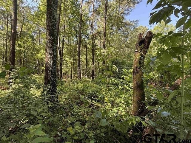 30 acres in Rusk County - photo 4