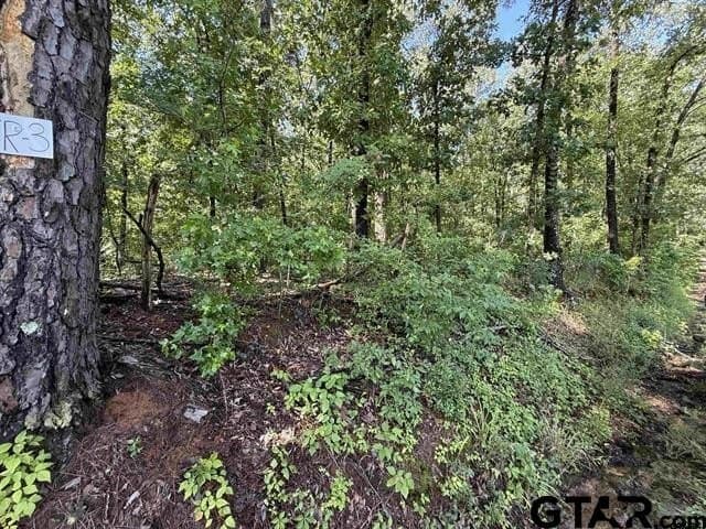 30 acres in Rusk County - photo 6