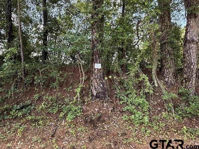 30 acres in Rusk County - photo 8