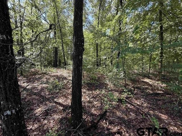30 acres in Rusk County - photo 2