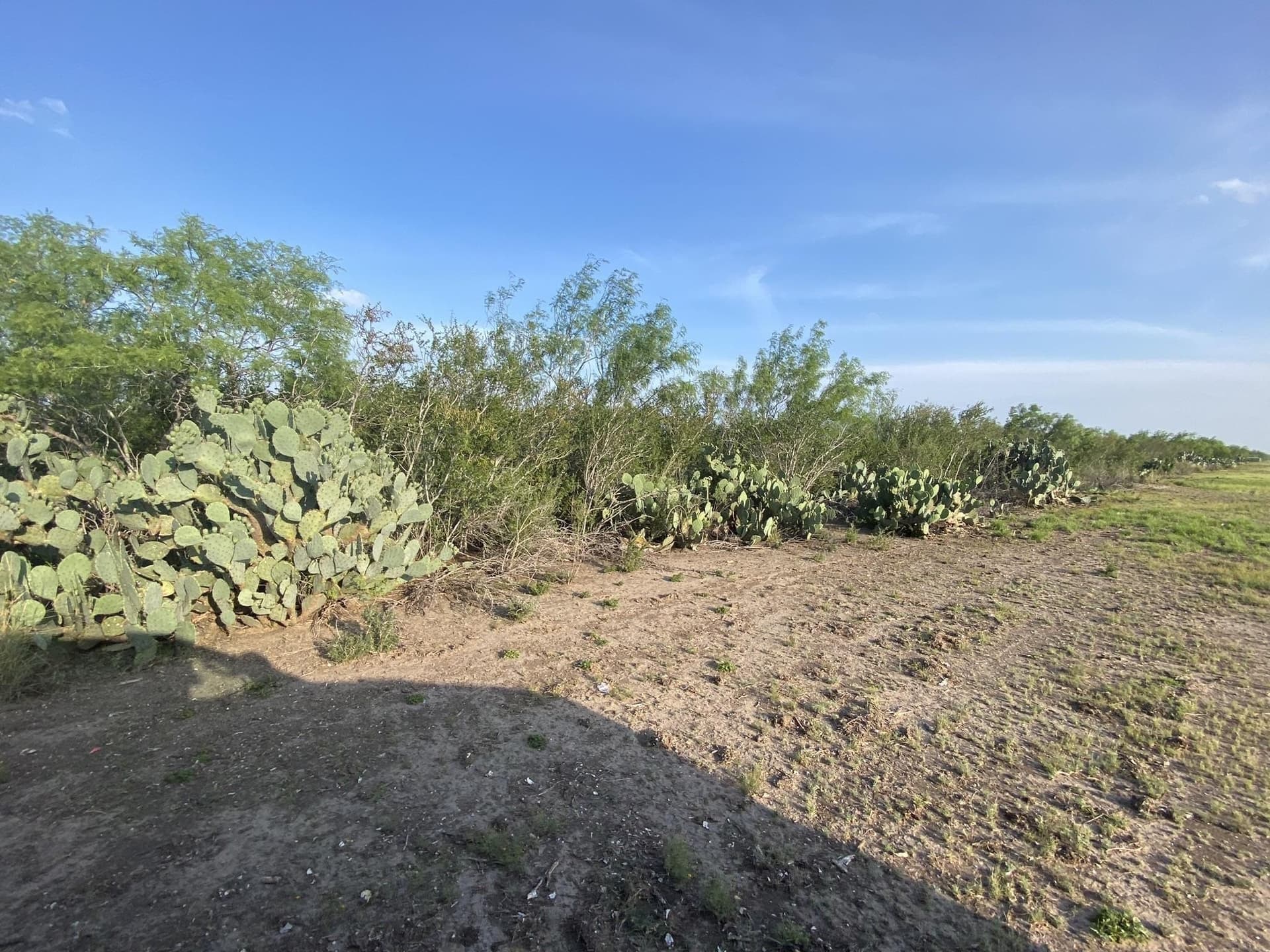 10.98 acres in LA SALLE County - photo 9