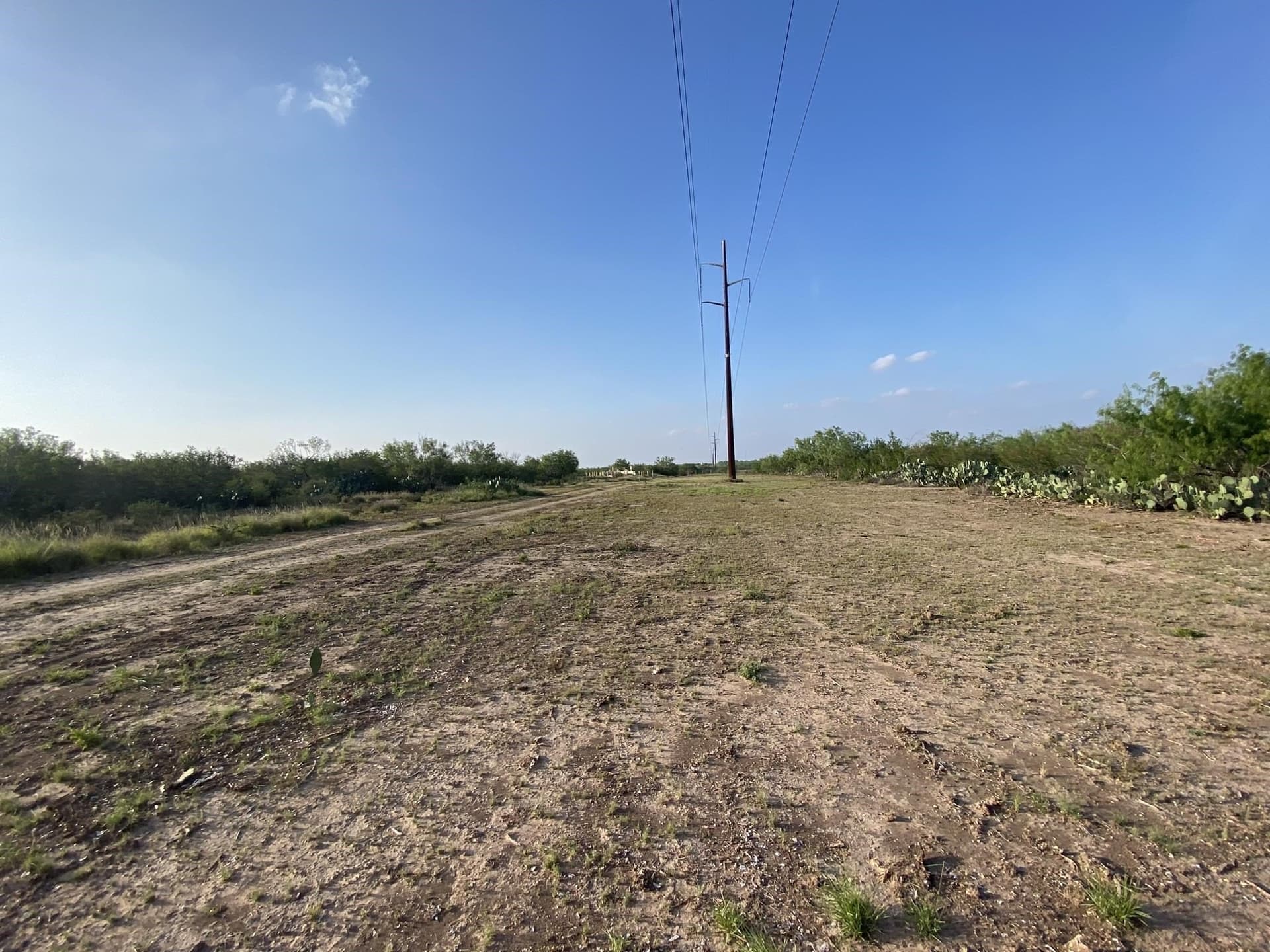 10.98 acres in LA SALLE County - photo 7