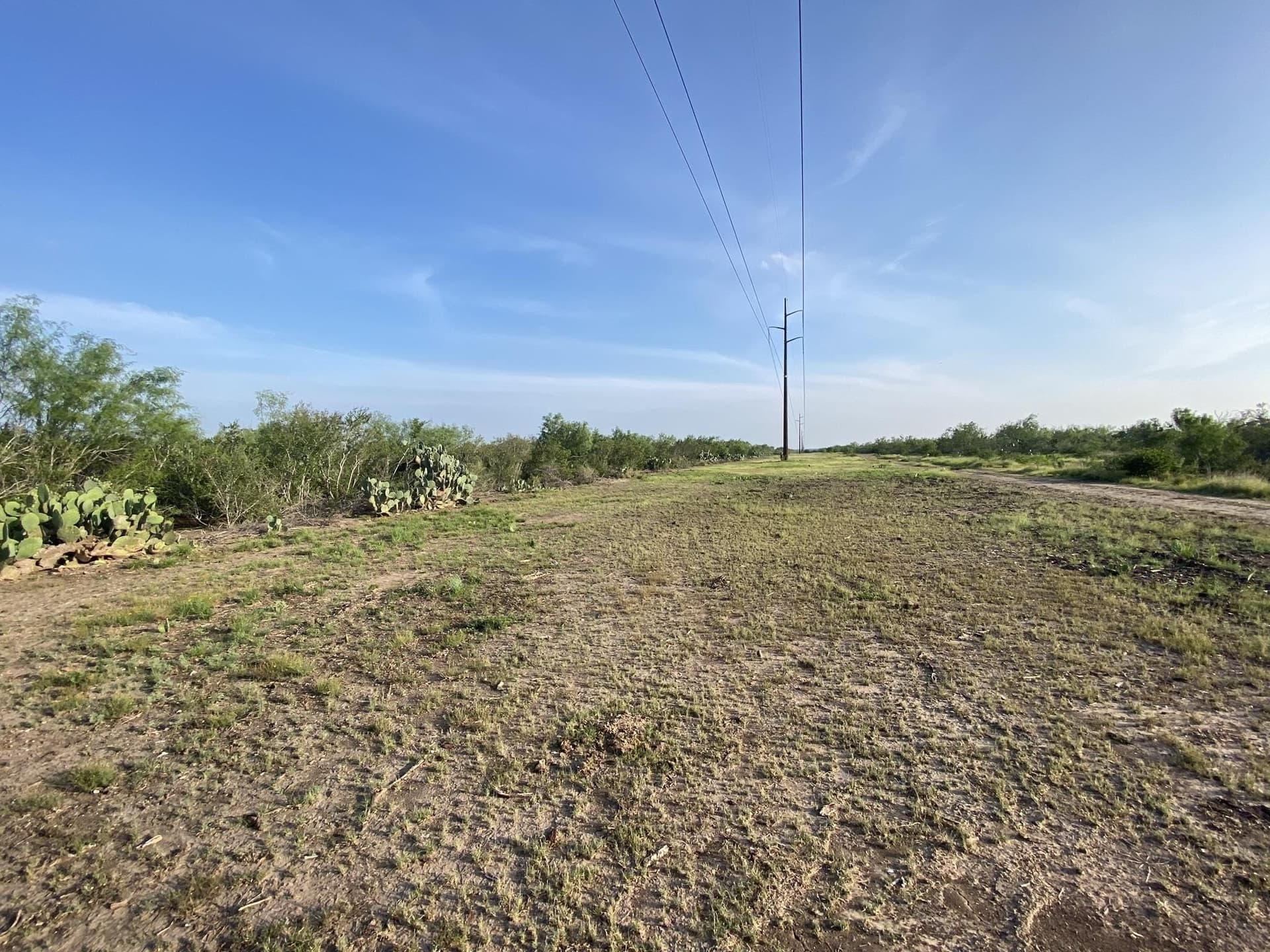 10.98 acres in LA SALLE County - photo 10