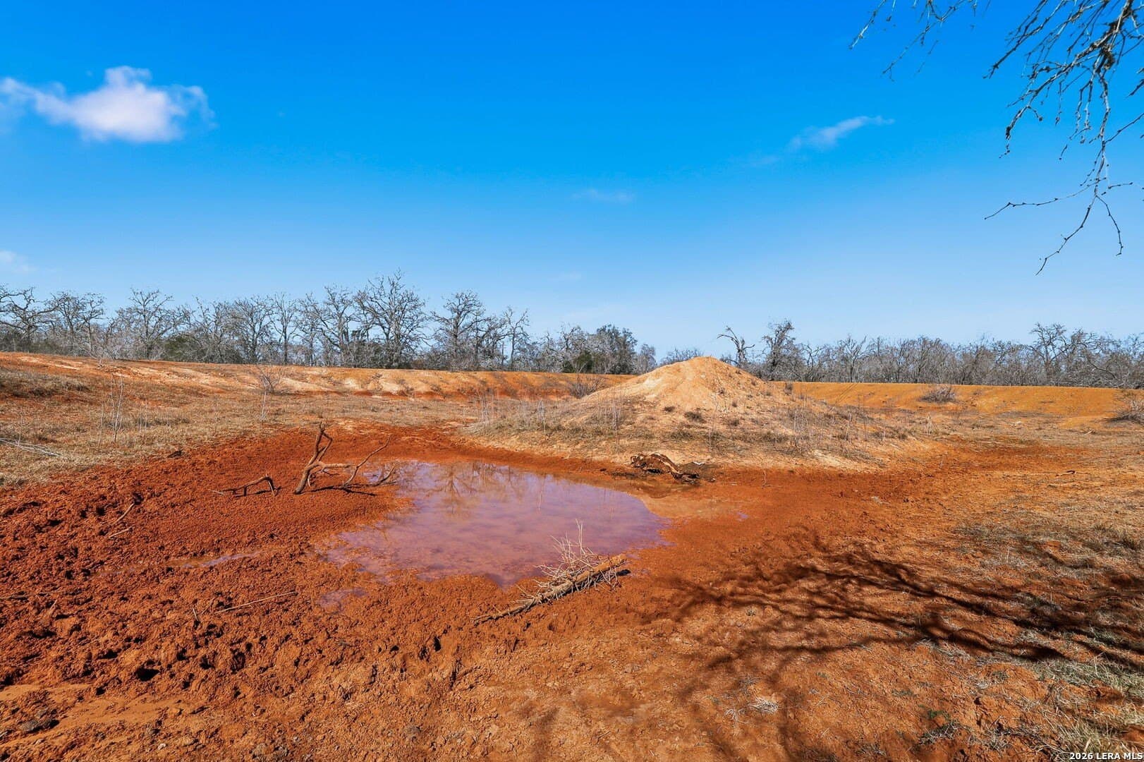 47.74 acres in Wilson County - photo 18