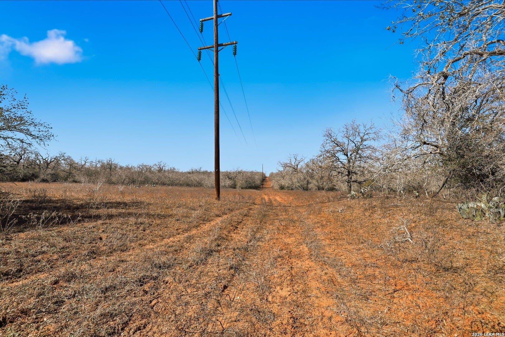 47.74 acres in Wilson County - photo 29