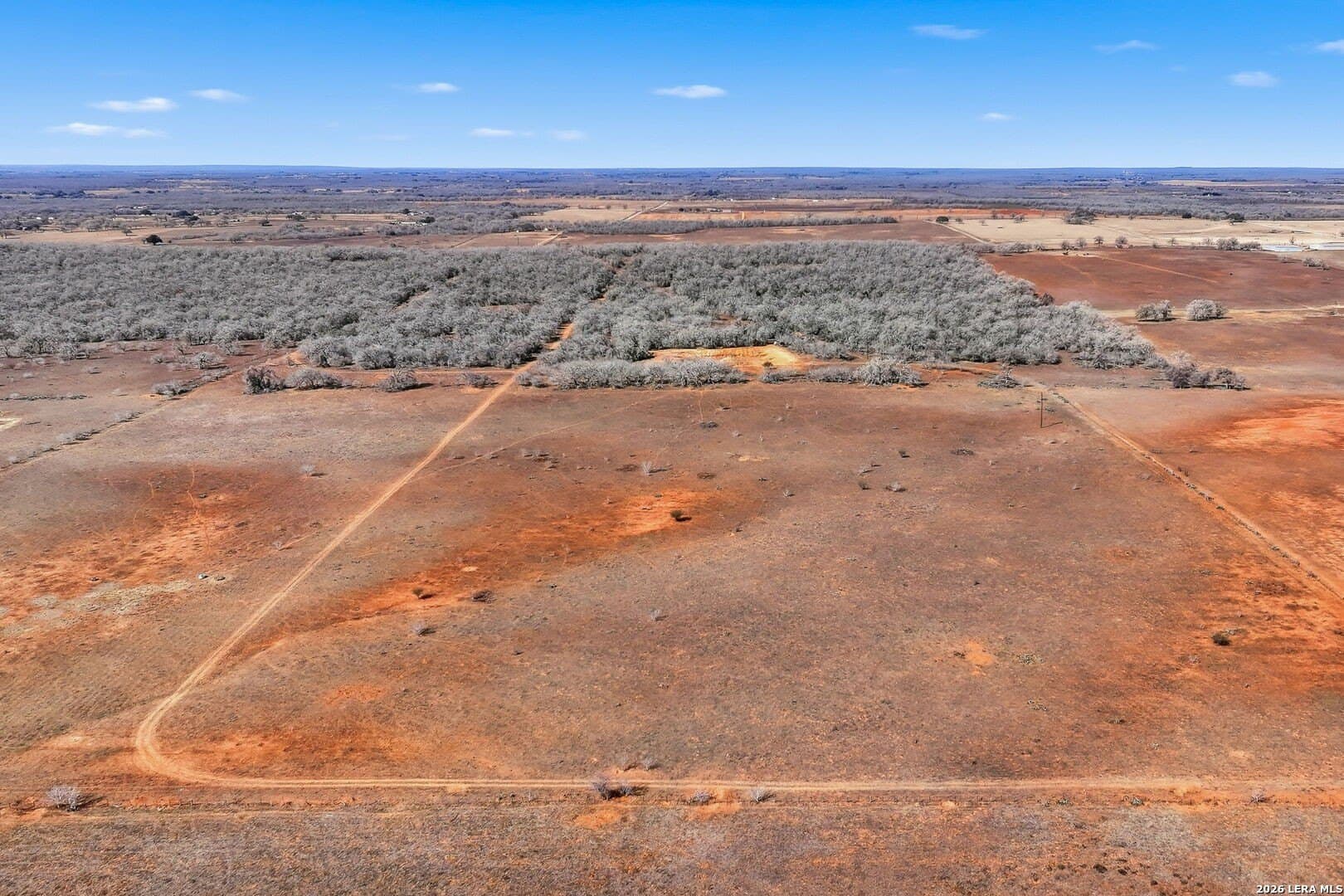 47.74 acres in Wilson County - photo 3