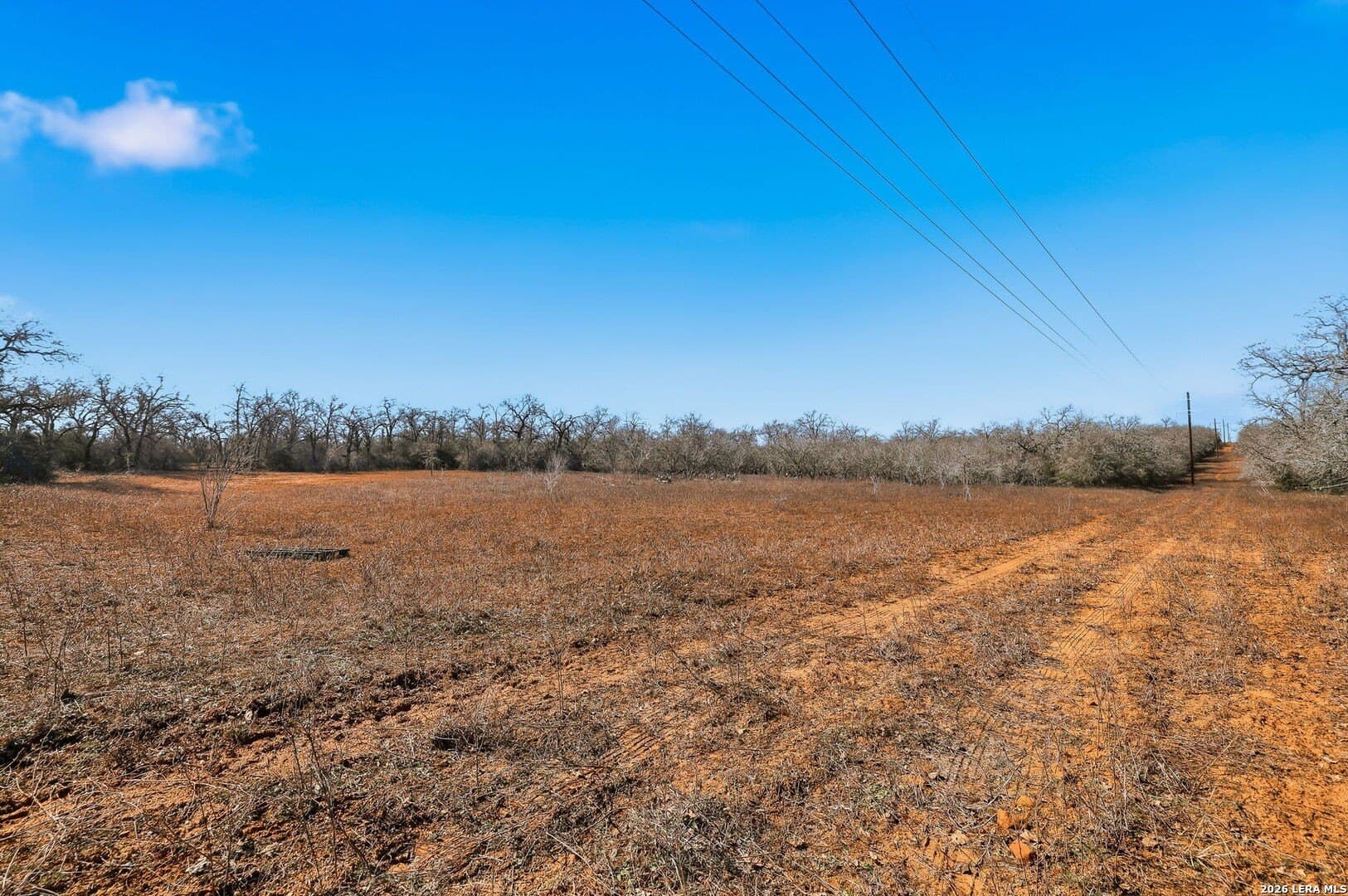47.74 acres in Wilson County - photo 28