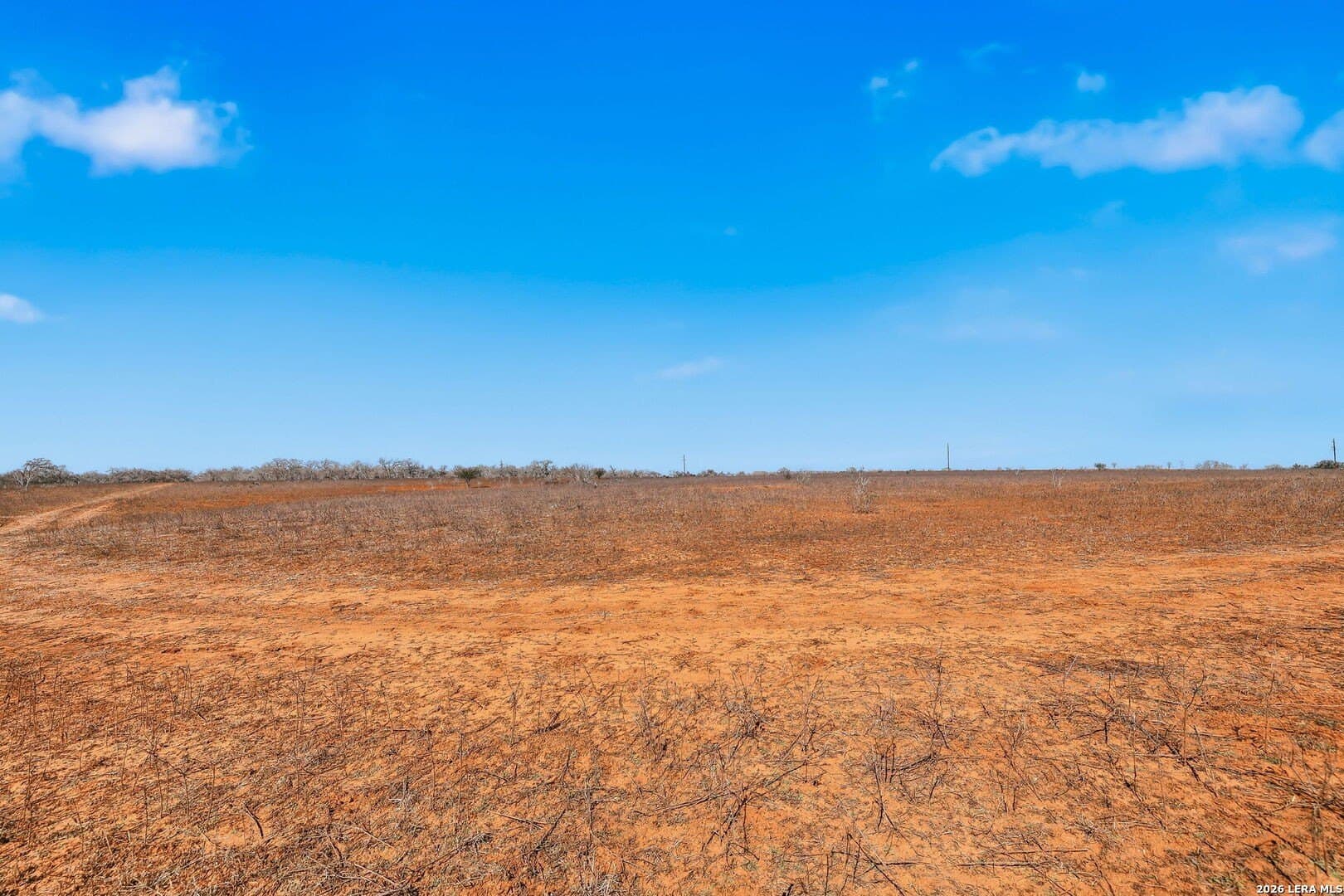 47.74 acres in Wilson County - photo 13