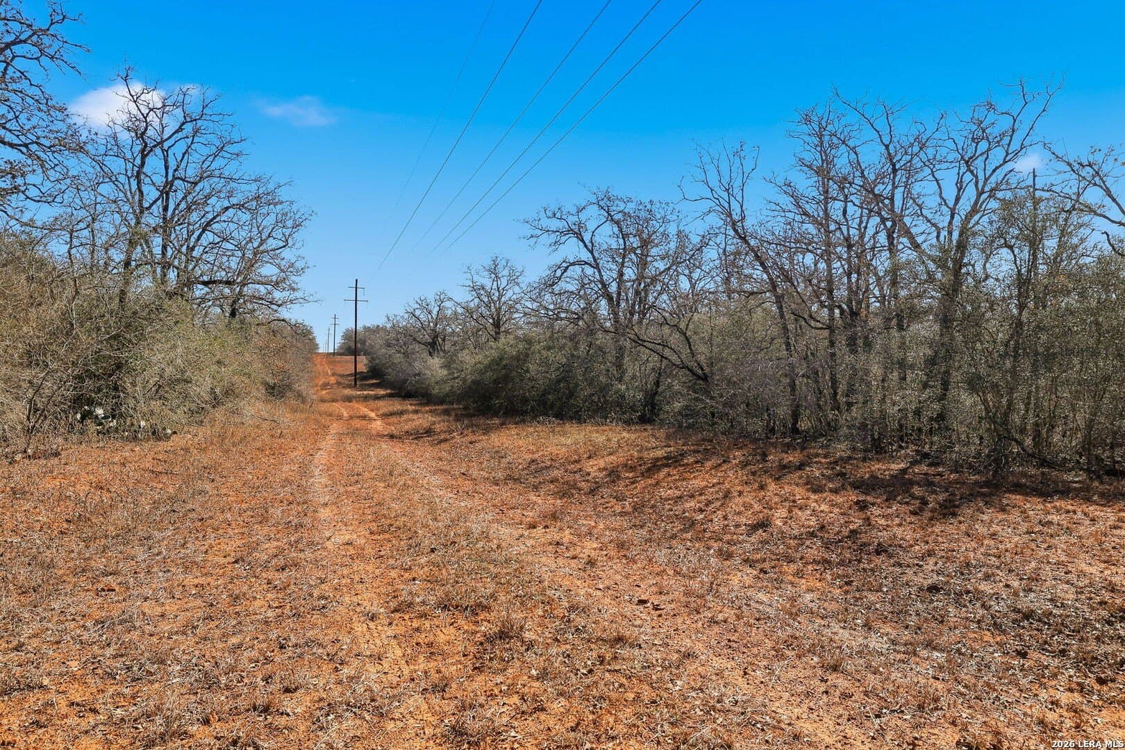 47.74 acres in Wilson County - photo 27