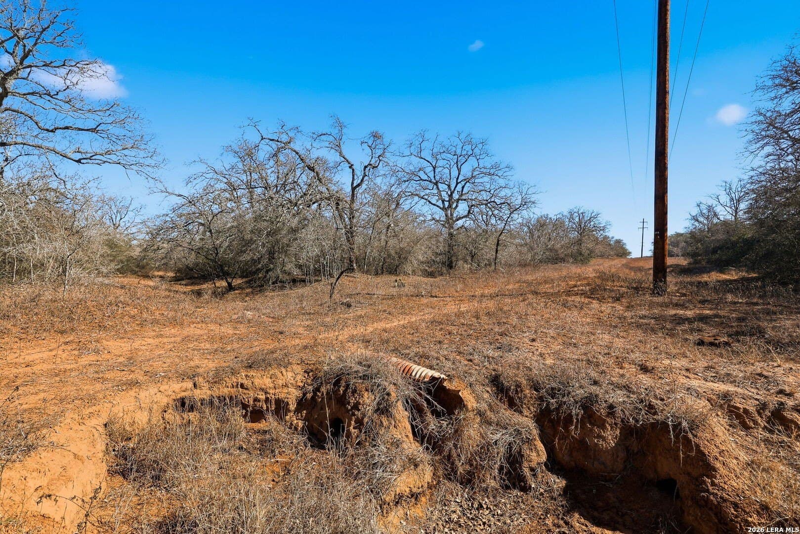 47.74 acres in Wilson County - photo 30