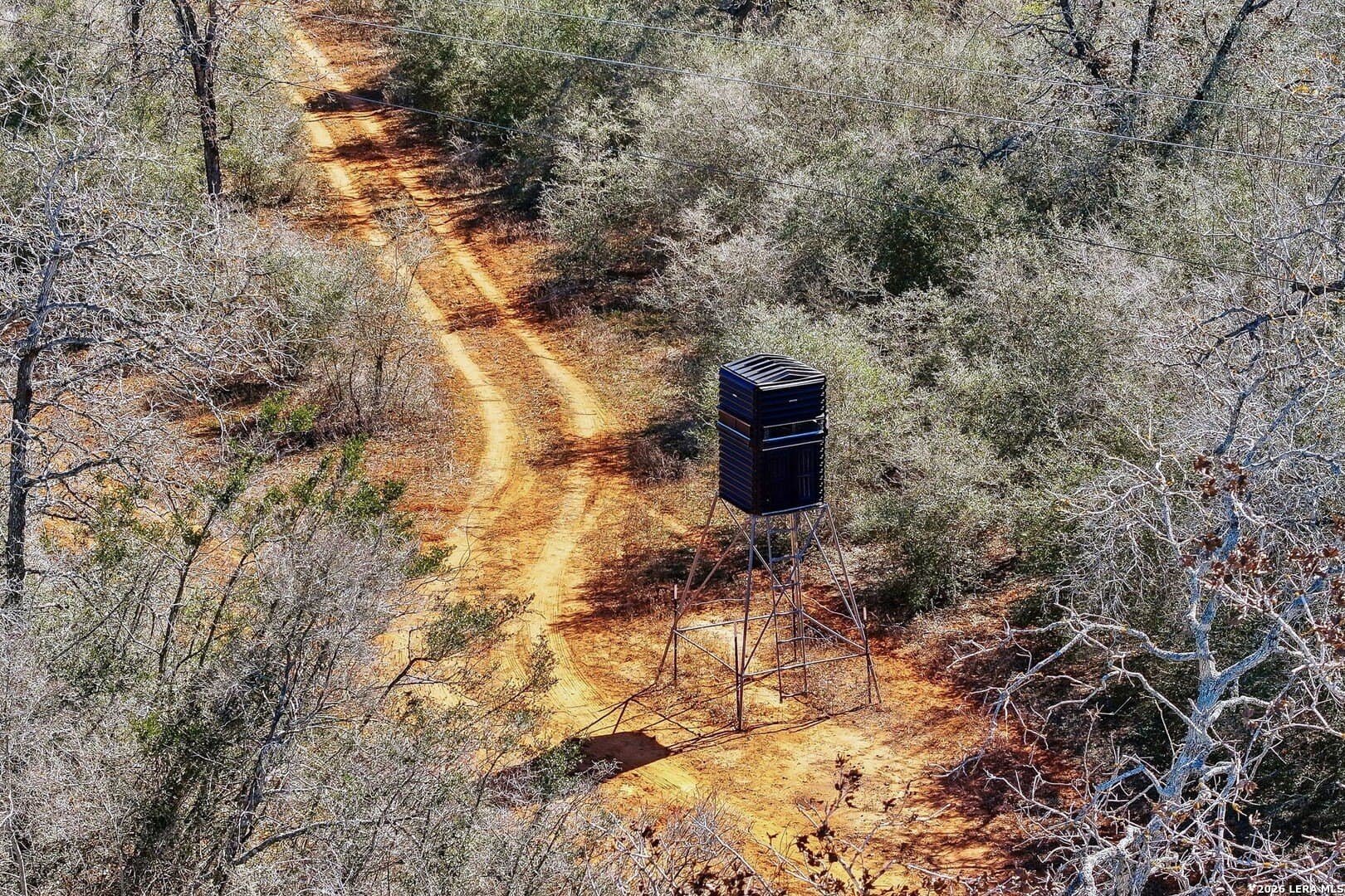 47.74 acres in Wilson County - photo 23