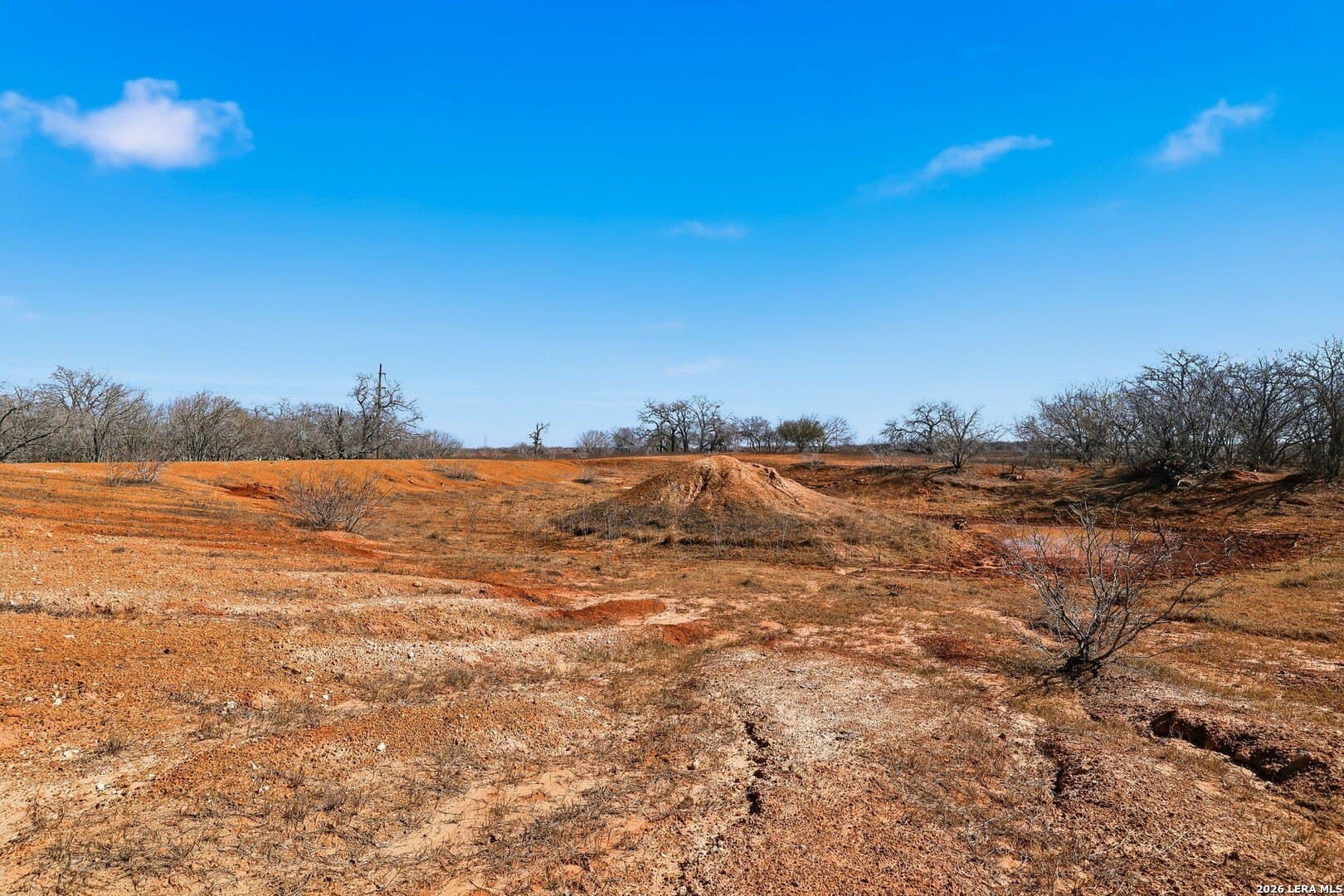 47.74 acres in Wilson County - photo 17