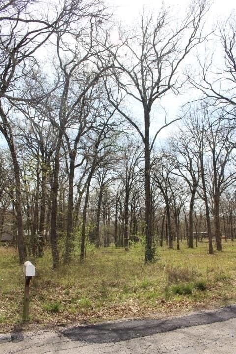 0.26 acres in Henderson County - photo 4