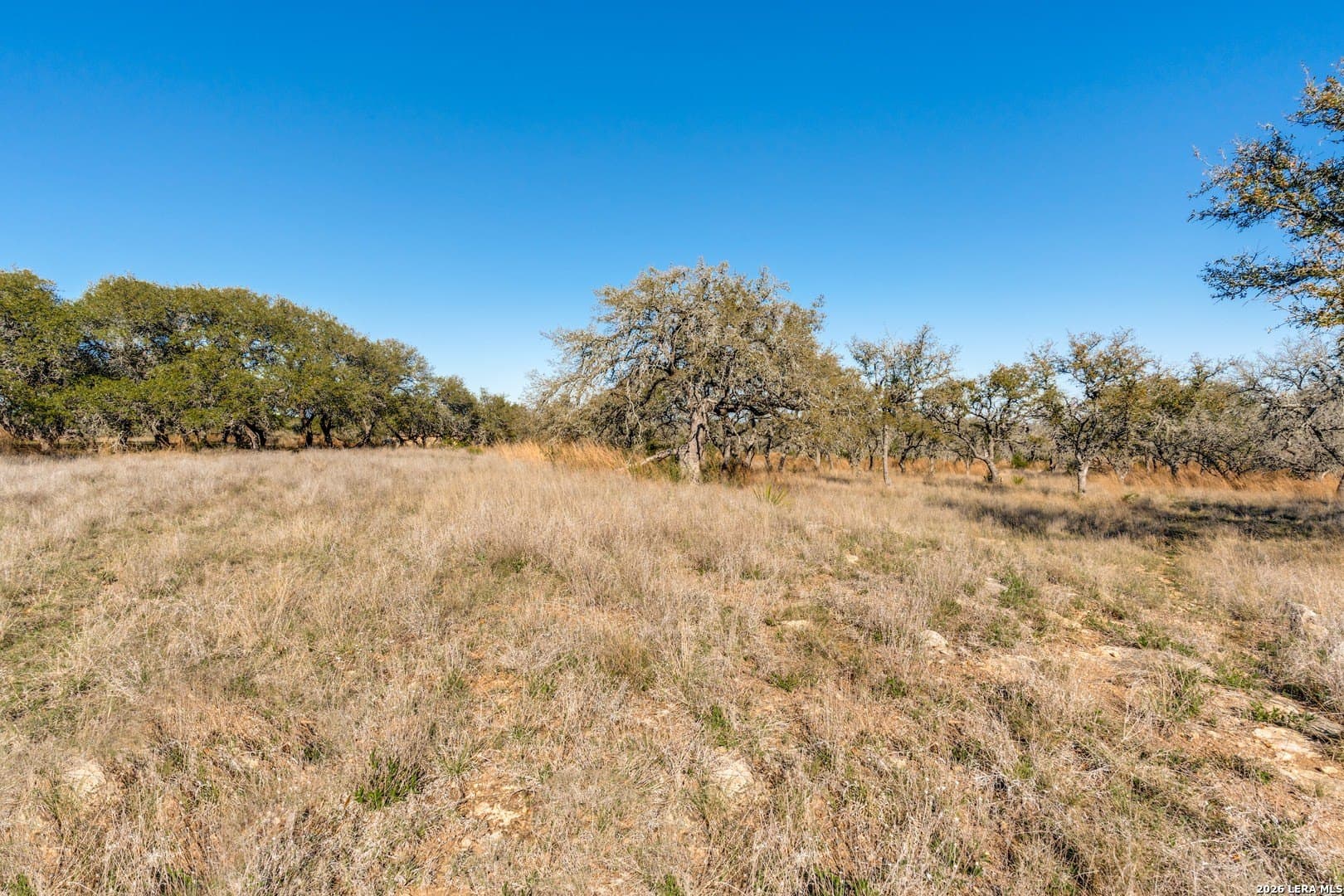 5 acres in Kendall County - photo 3
