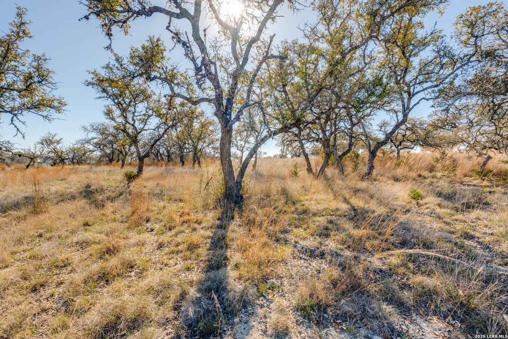 5 acres in Kendall County - photo 5