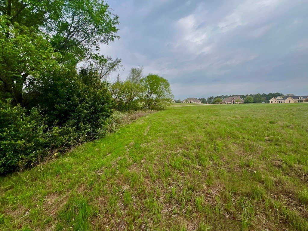 2.03 acres in Henderson County - photo 4