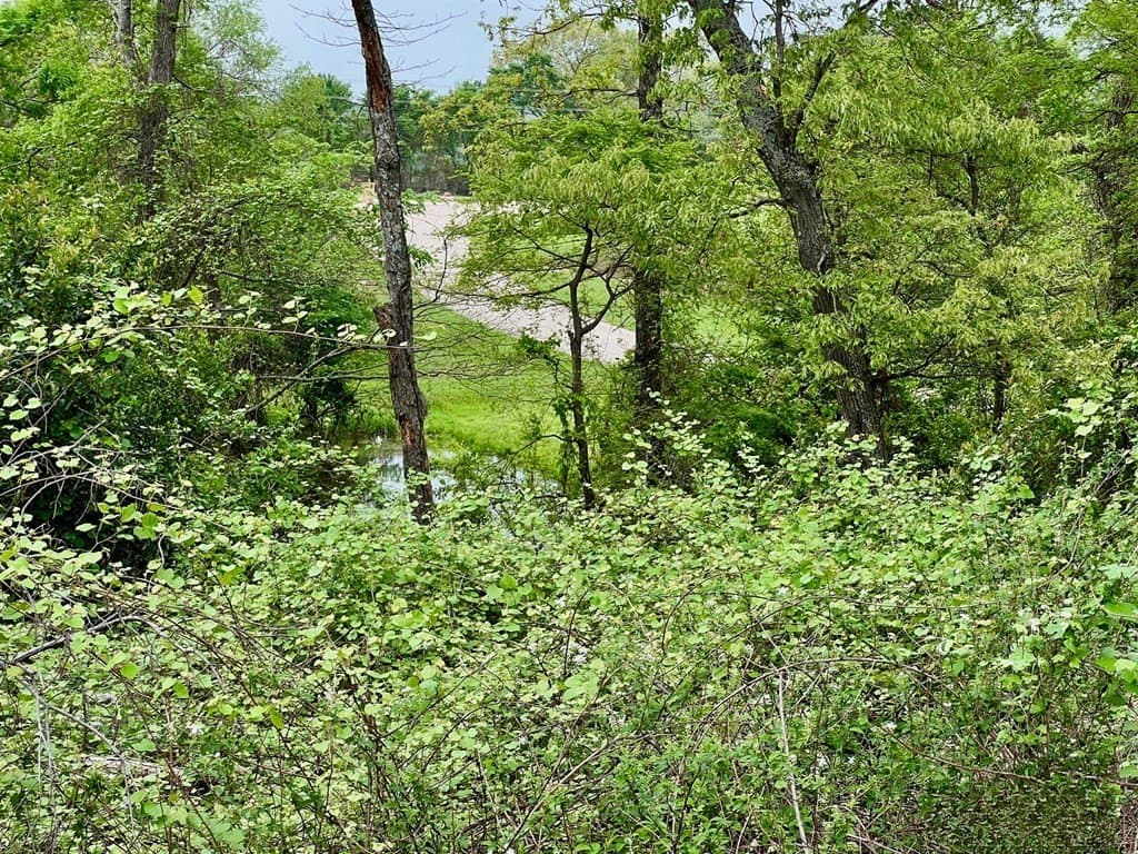 2.03 acres in Henderson County - photo 2