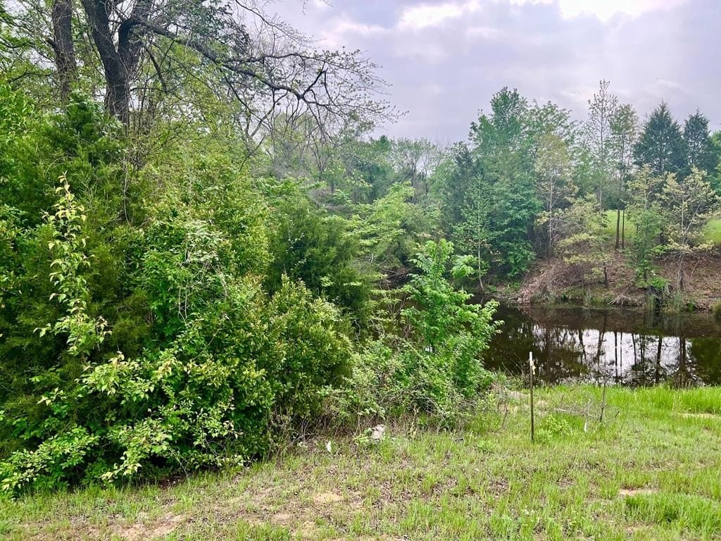 2.03 acres in Henderson County - photo 7