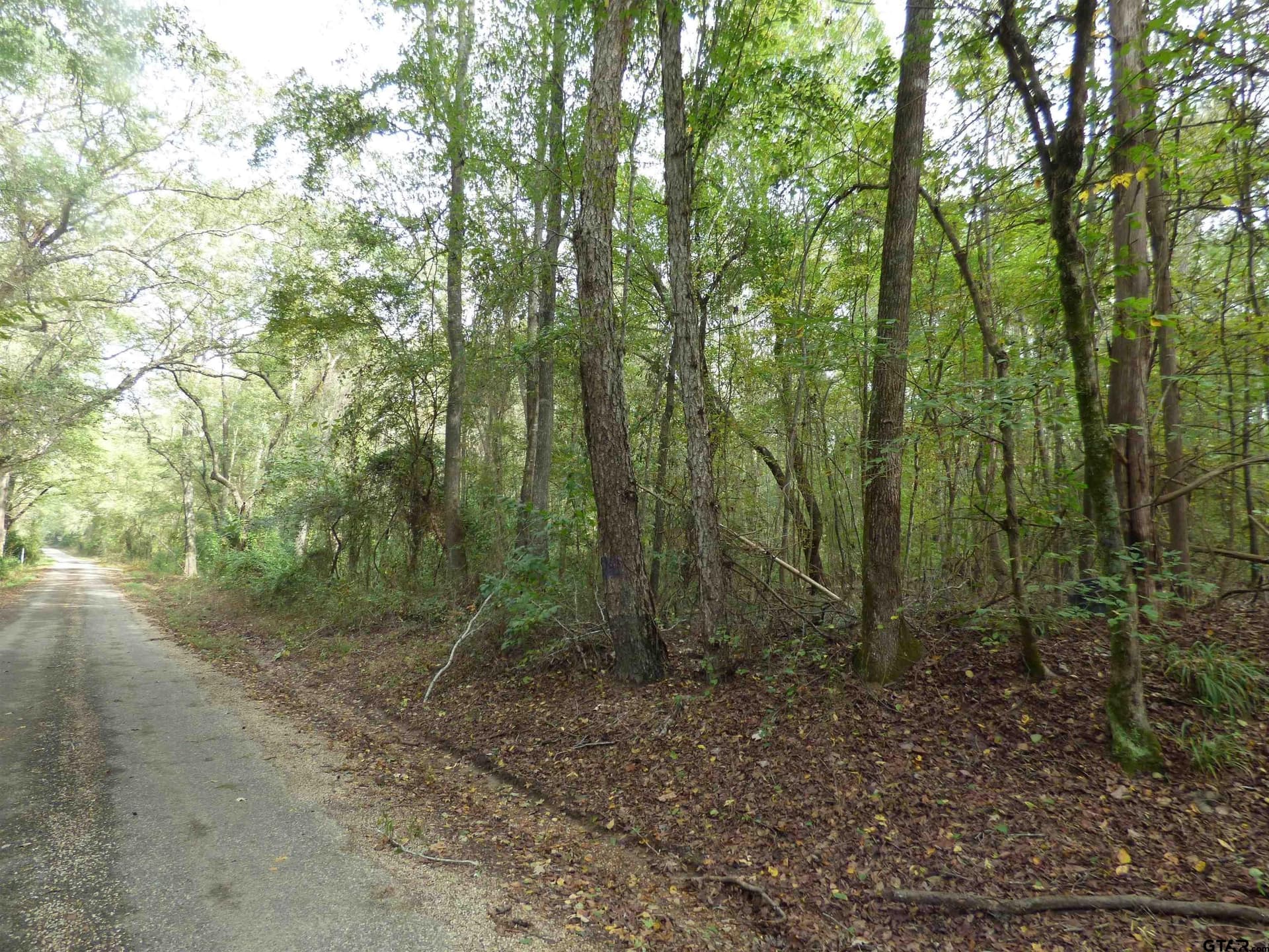 12 acres in Camp County - photo 3