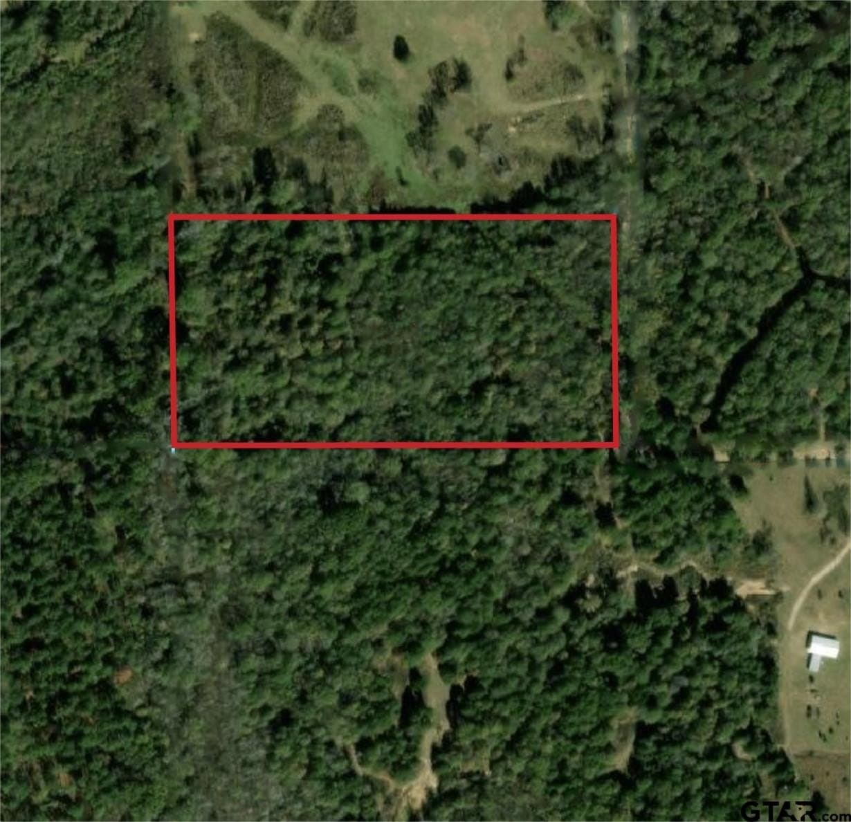 12 acres in Camp County - photo 6