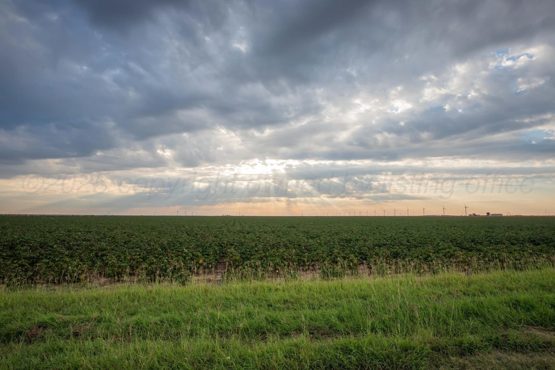 10 acres in Carson County - photo 63
