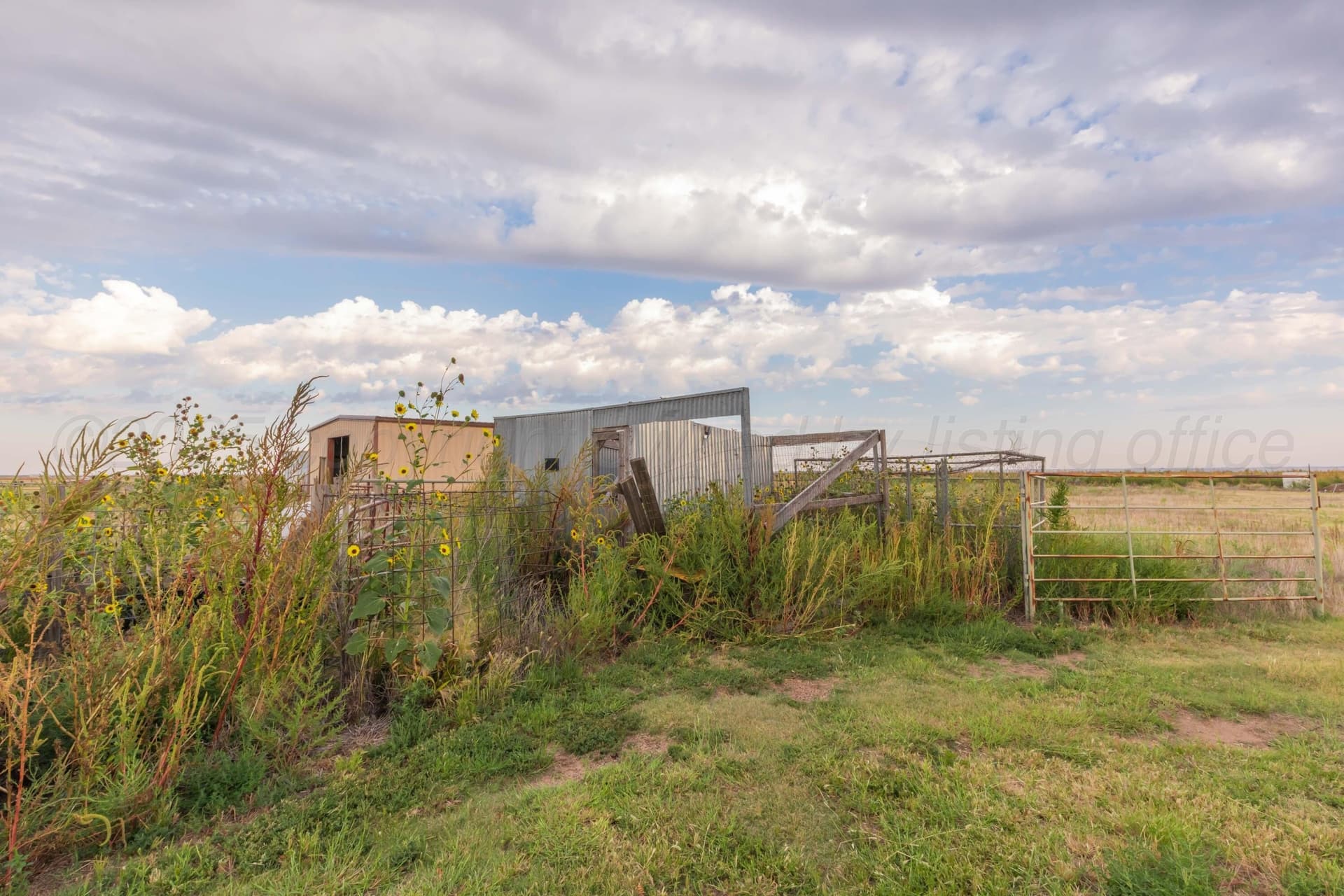 10 acres in Carson County - photo 68