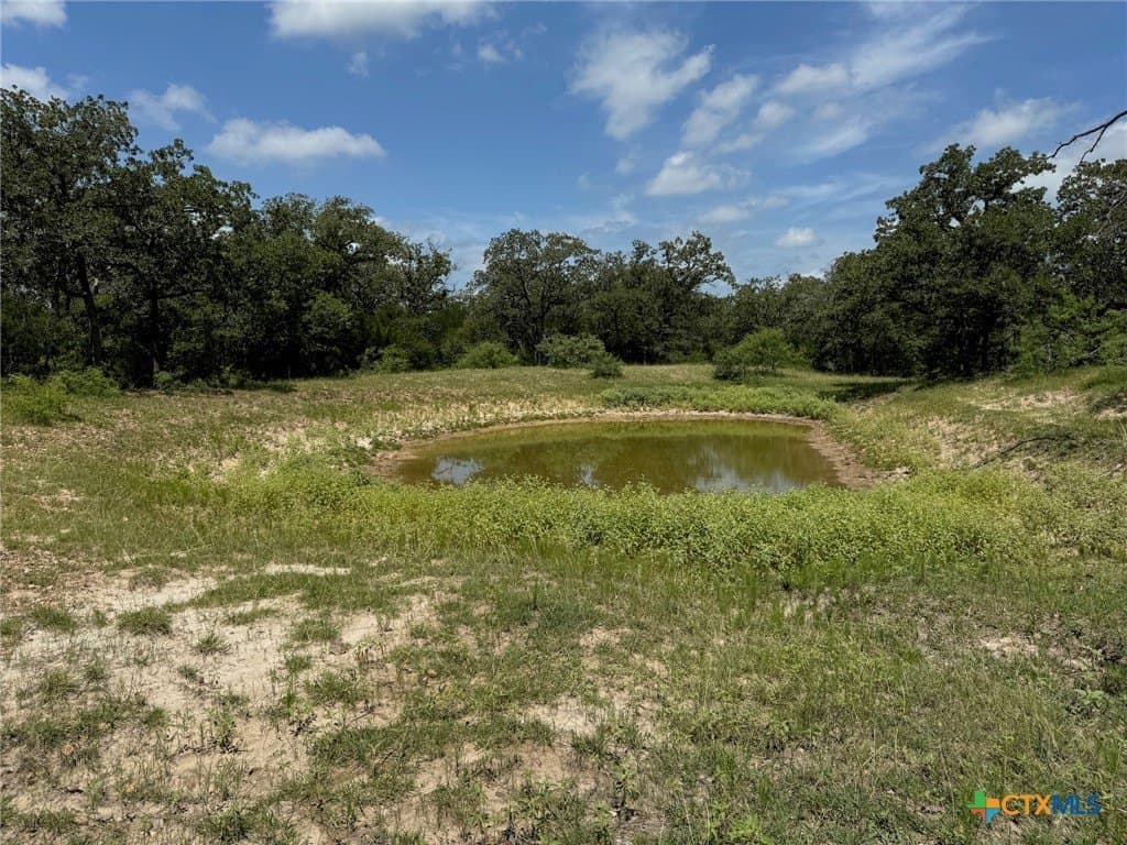 50 acres in Gonzales County - photo 26