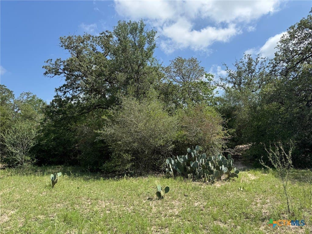 50 acres in Gonzales County - photo 31