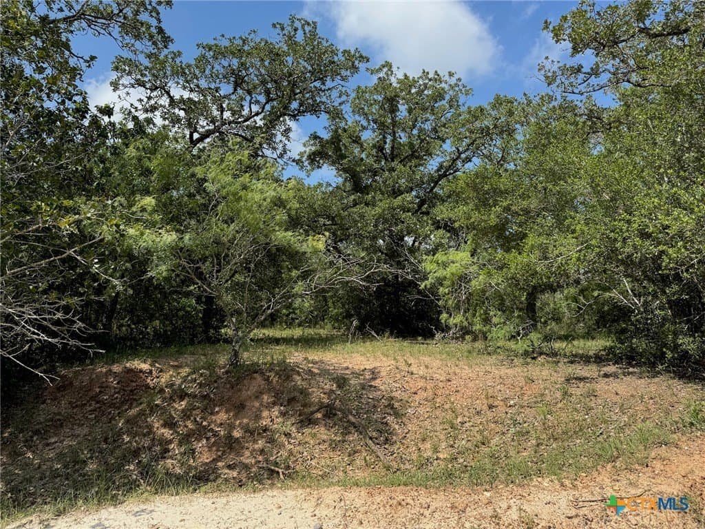 50 acres in Gonzales County - photo 17