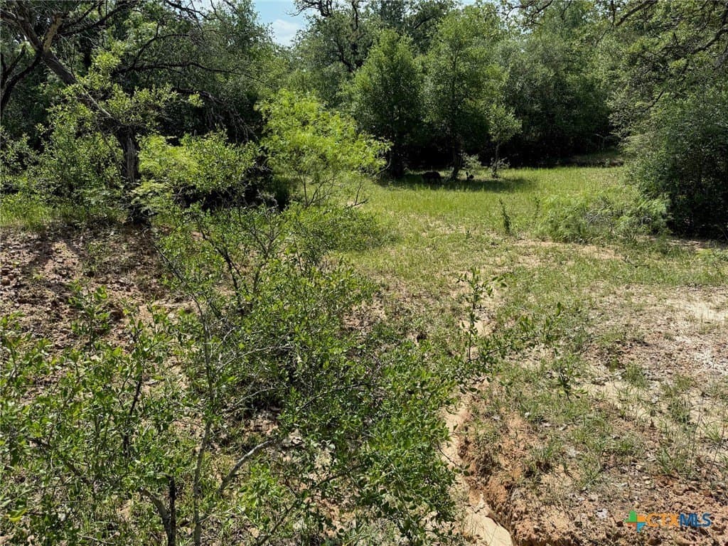 50 acres in Gonzales County - photo 30