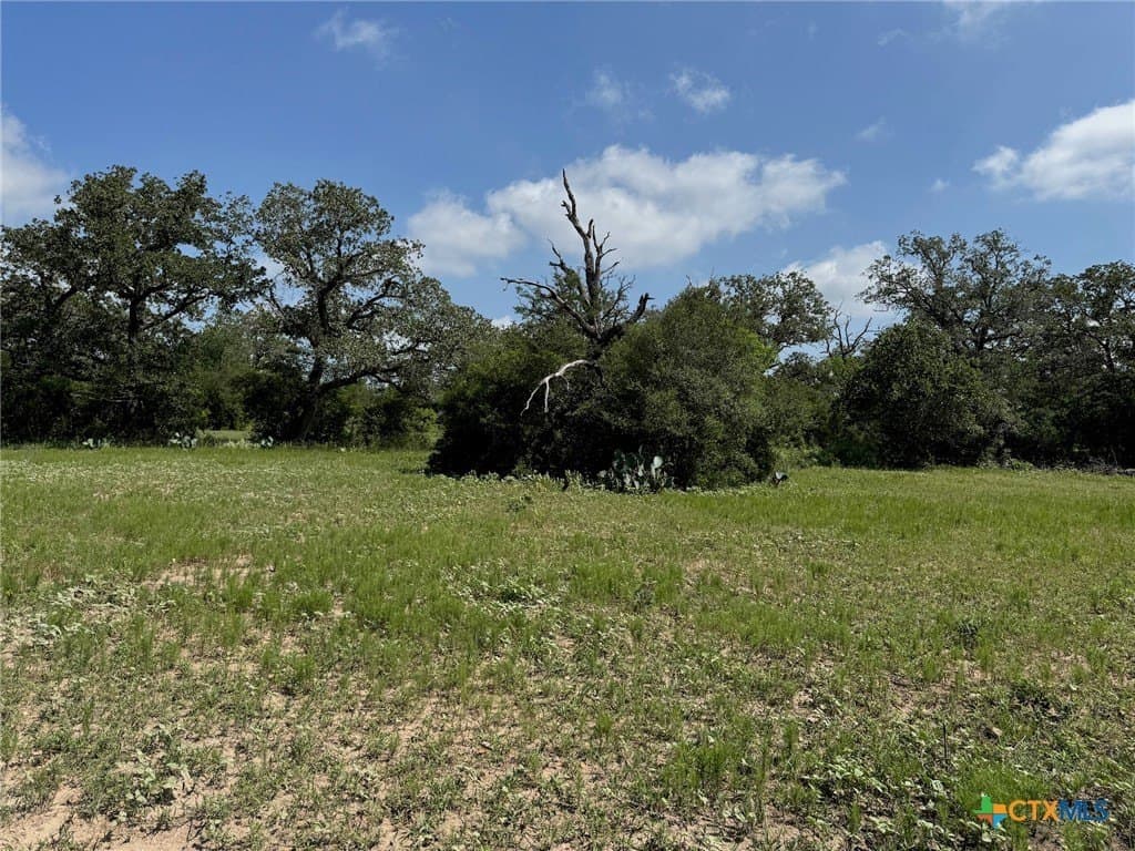 50 acres in Gonzales County - photo 28
