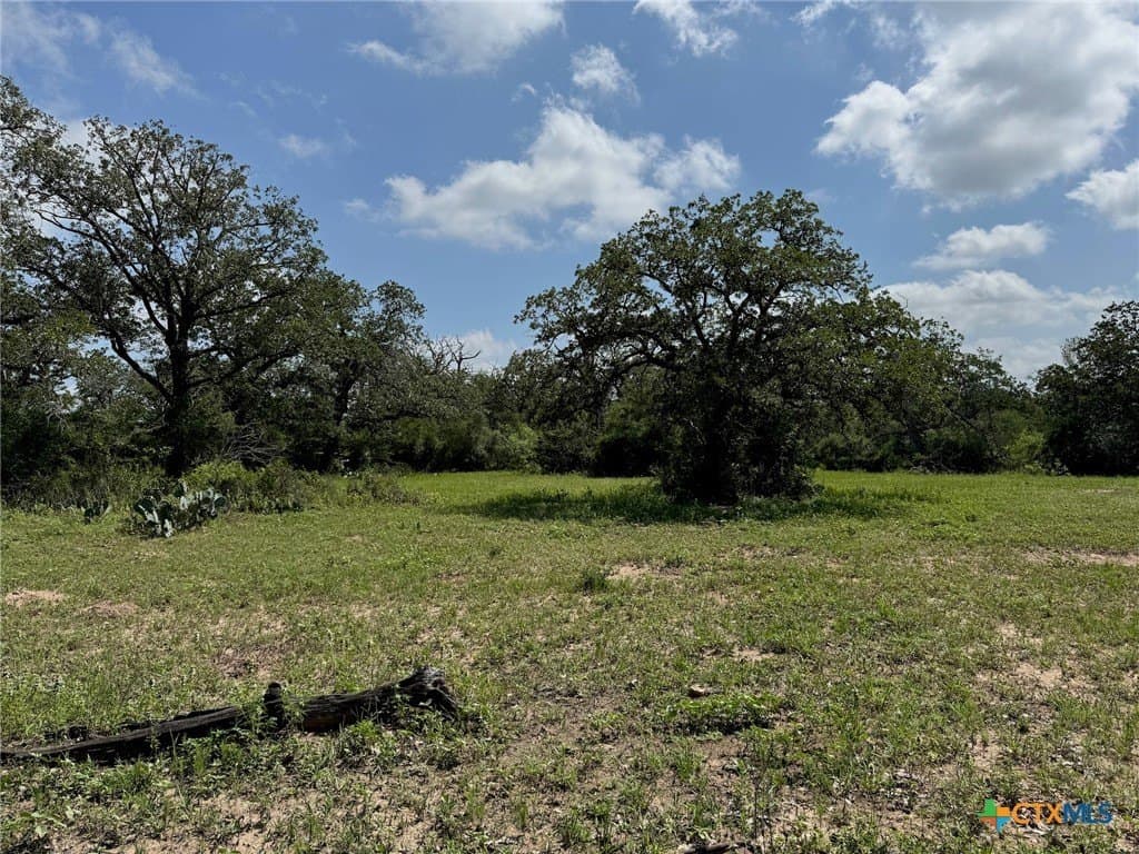 50 acres in Gonzales County - photo 24