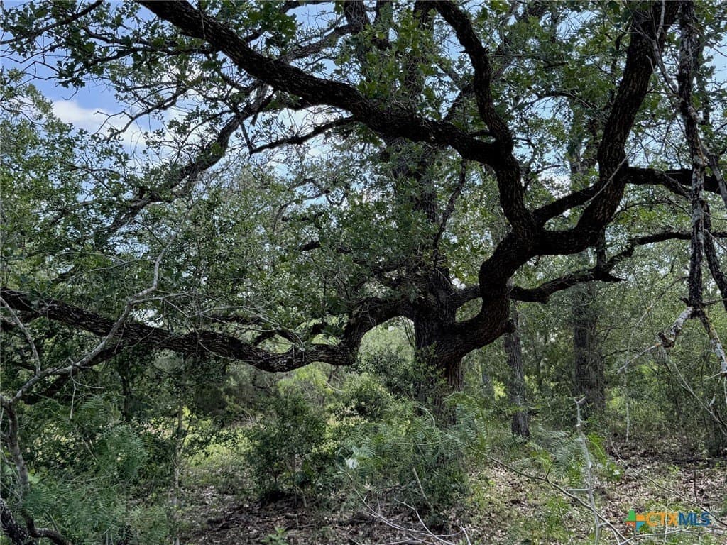 50 acres in Gonzales County - photo 22
