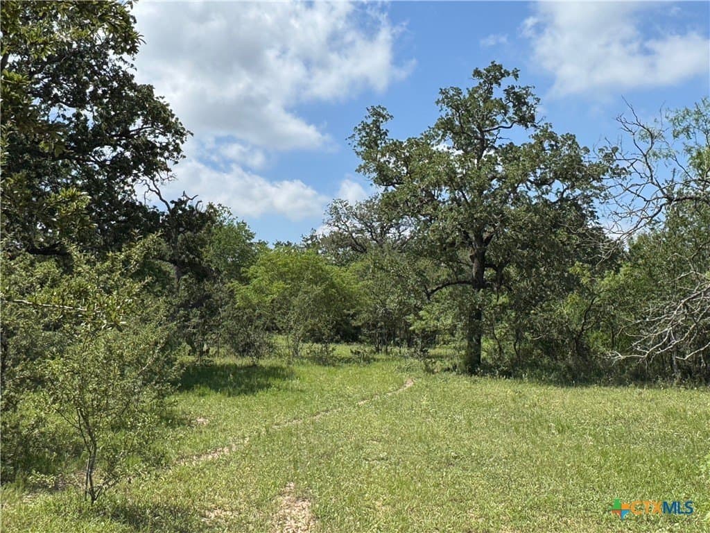 50 acres in Gonzales County - photo 34