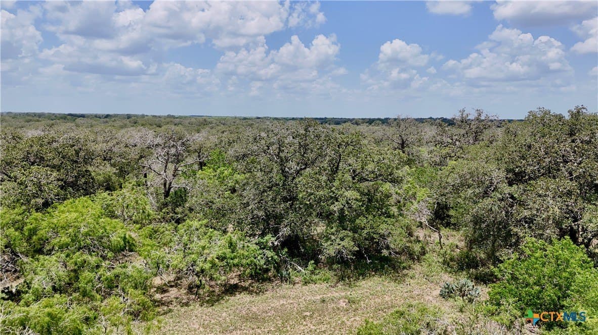 50 acres in Gonzales County - photo 11