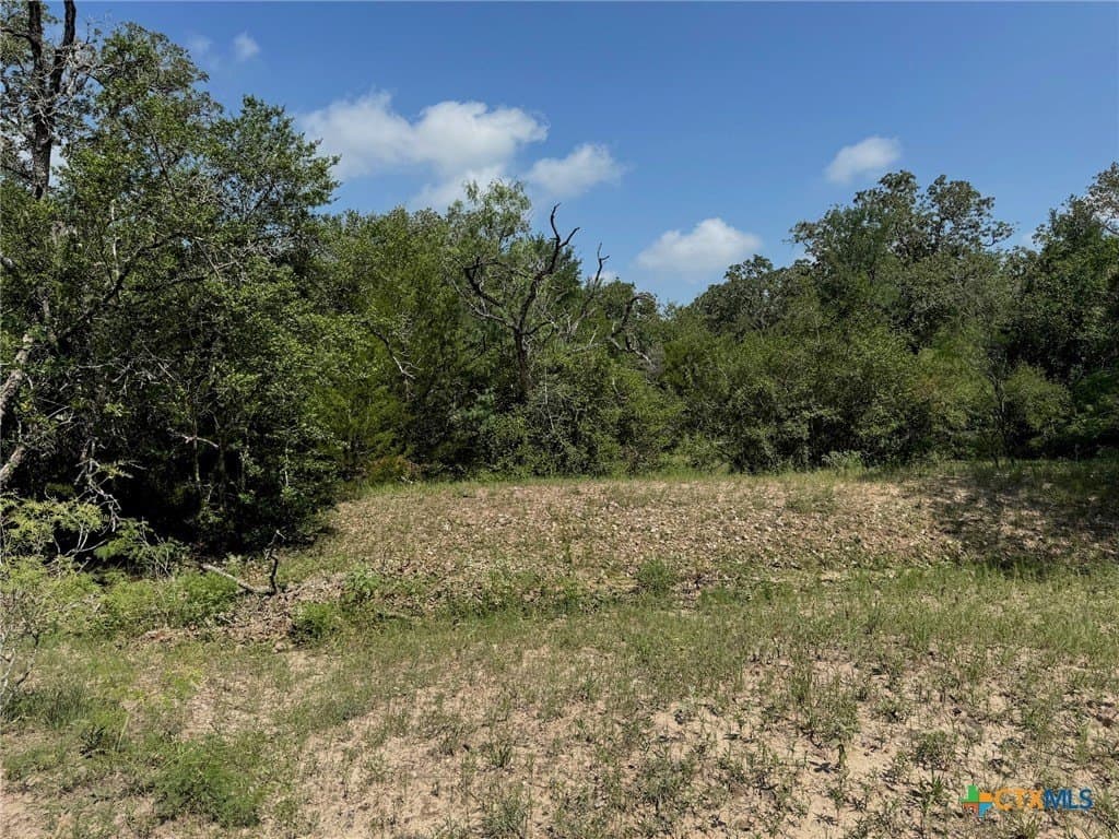 50 acres in Gonzales County - photo 35