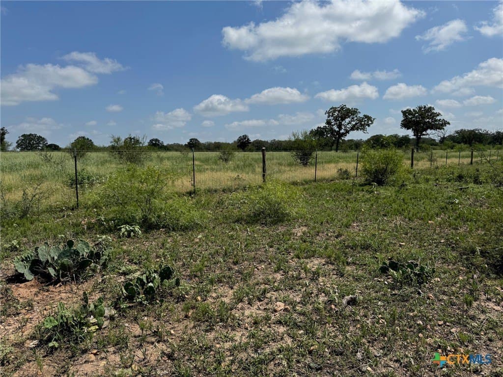 50 acres in Gonzales County - photo 27