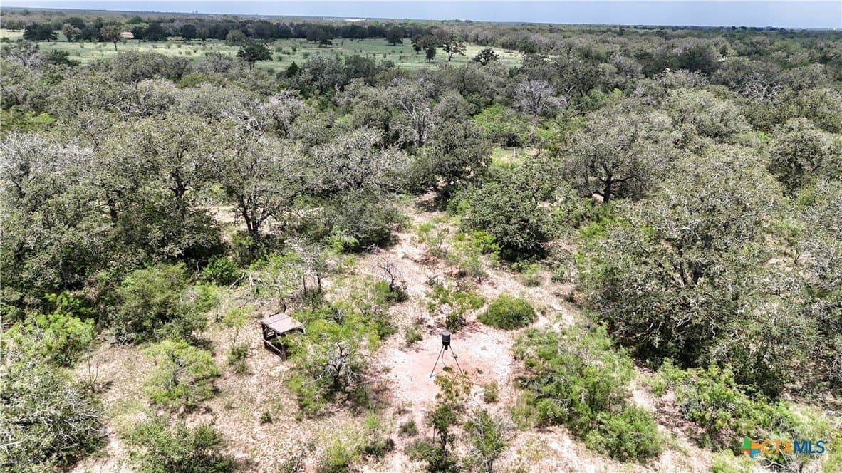 50 acres in Gonzales County - photo 8