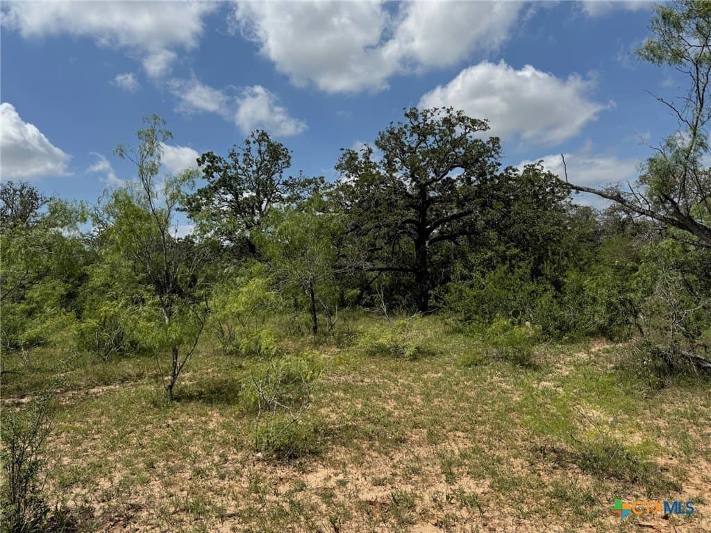 50 acres in Gonzales County - photo 36