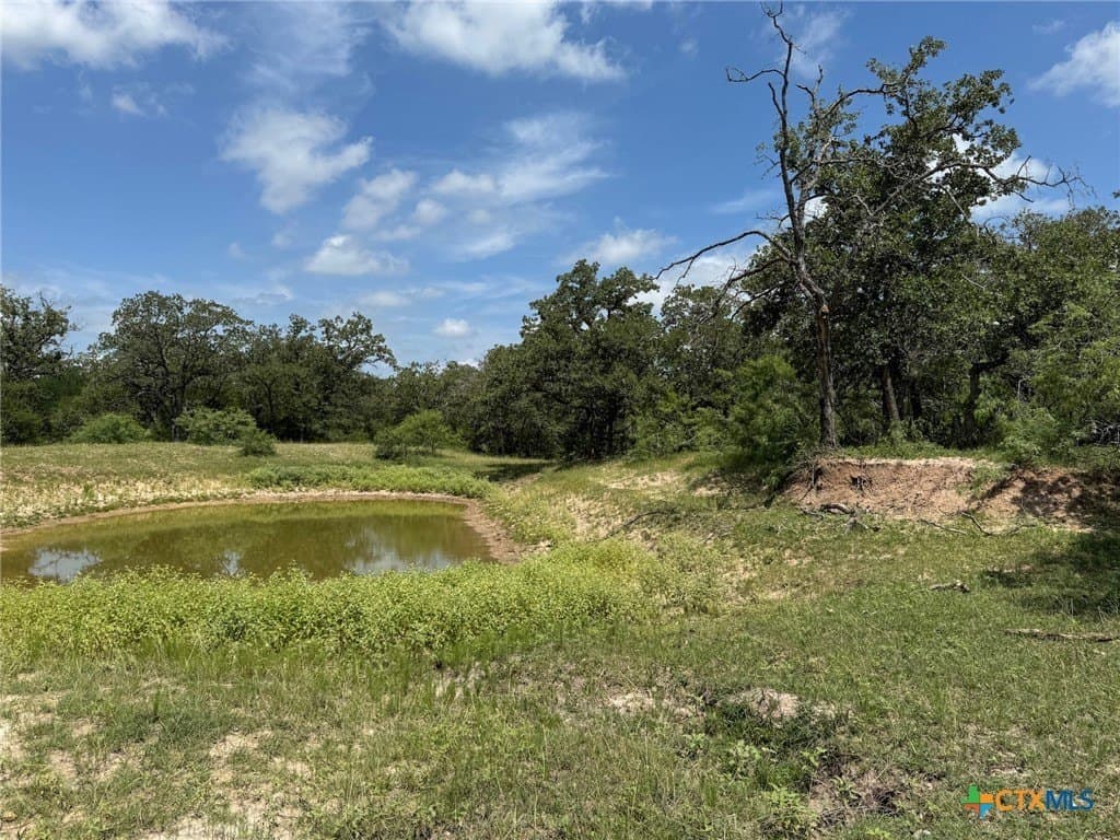 50 acres in Gonzales County - photo 25